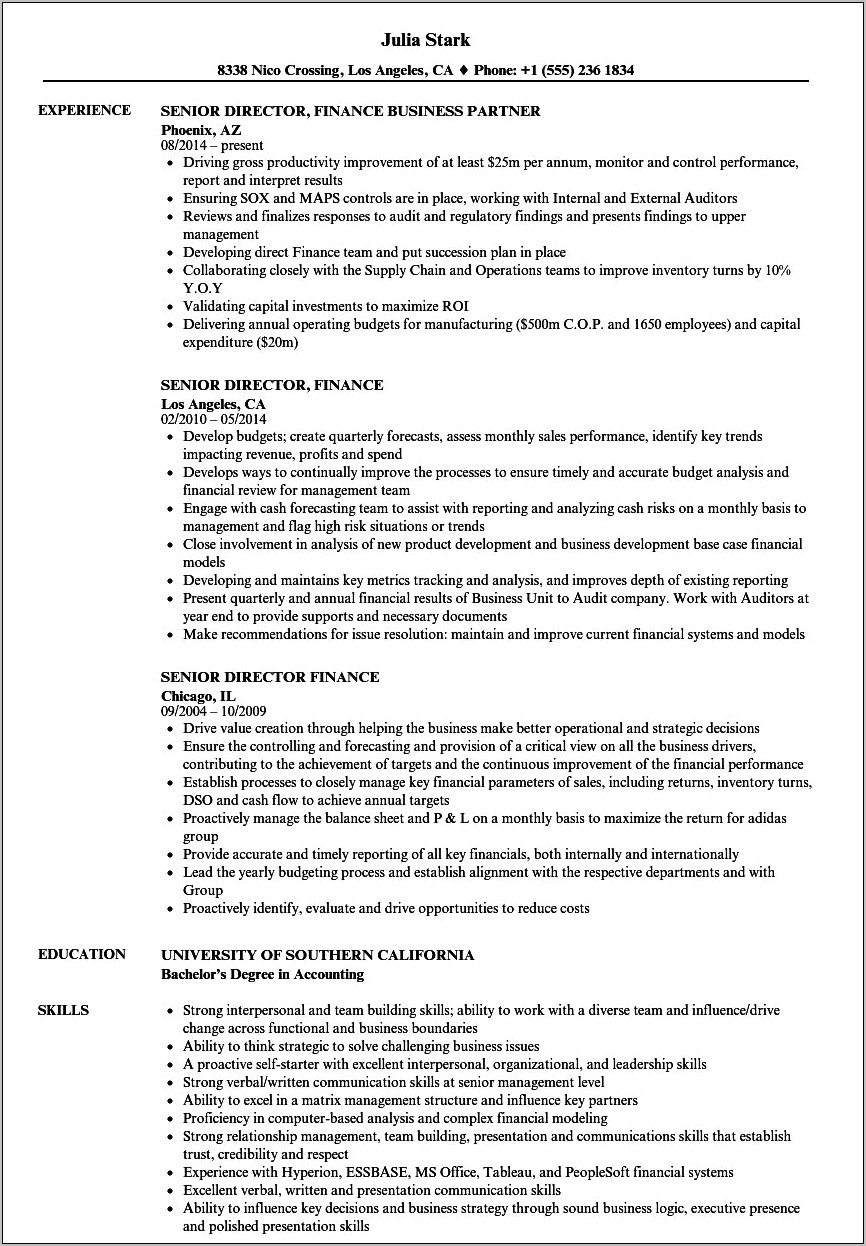 Resume Examples Director Of Finance