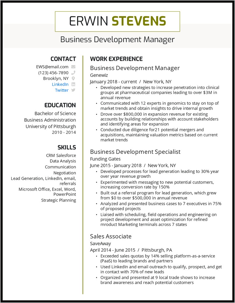 Resume Examples For Development Manager