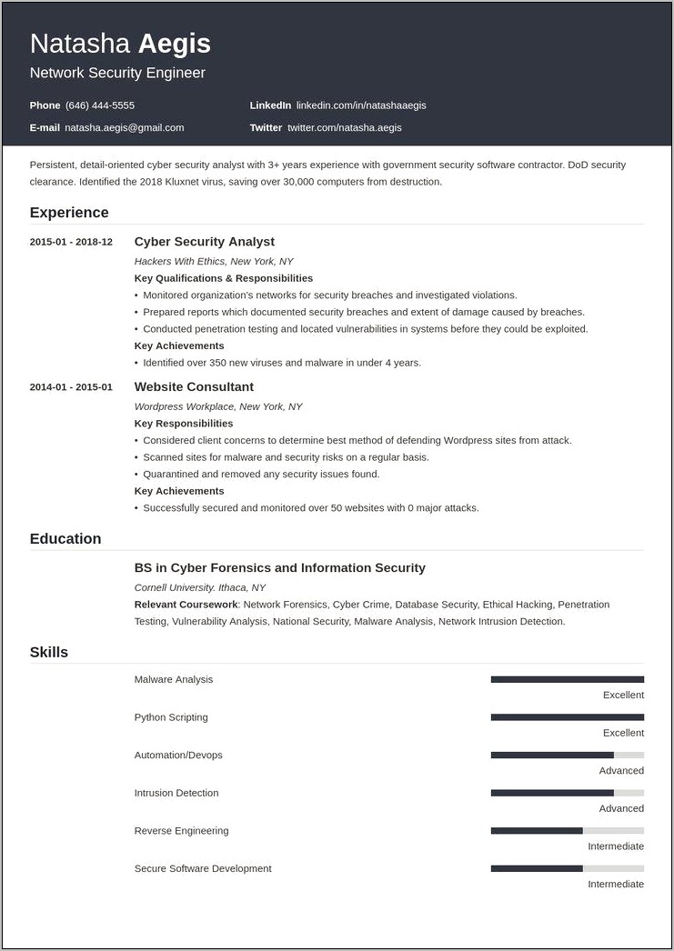 Resume Examples For Netrwork Security