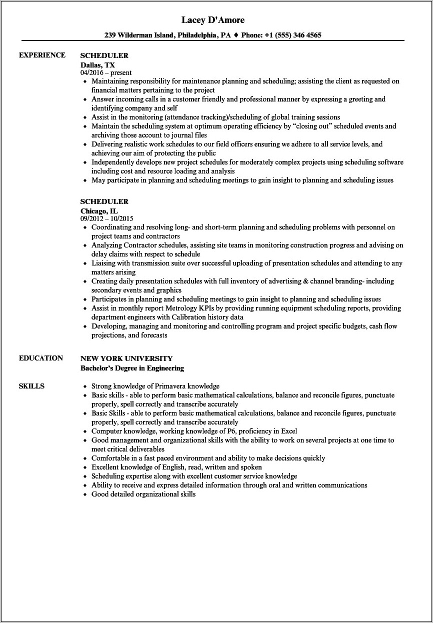 Resume Examples For Patient Scheduling