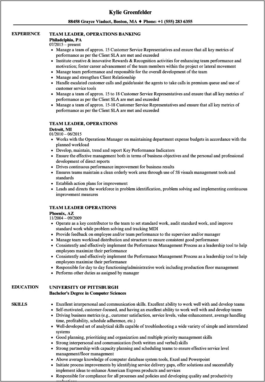 Resume Examples For Team Leader