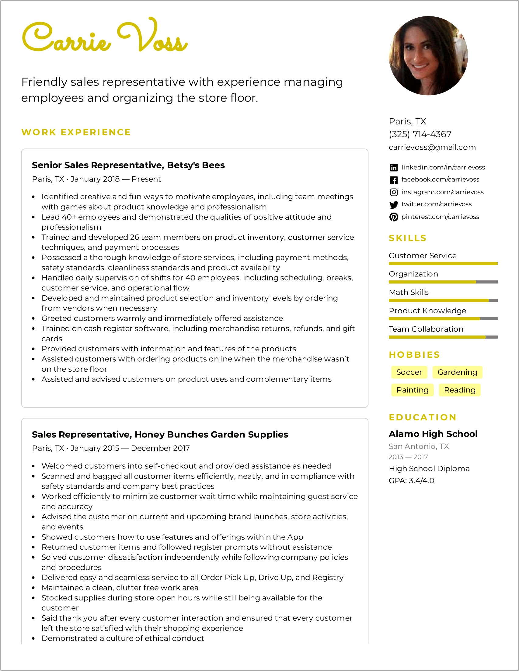 Resume Examples Of Sales Representative