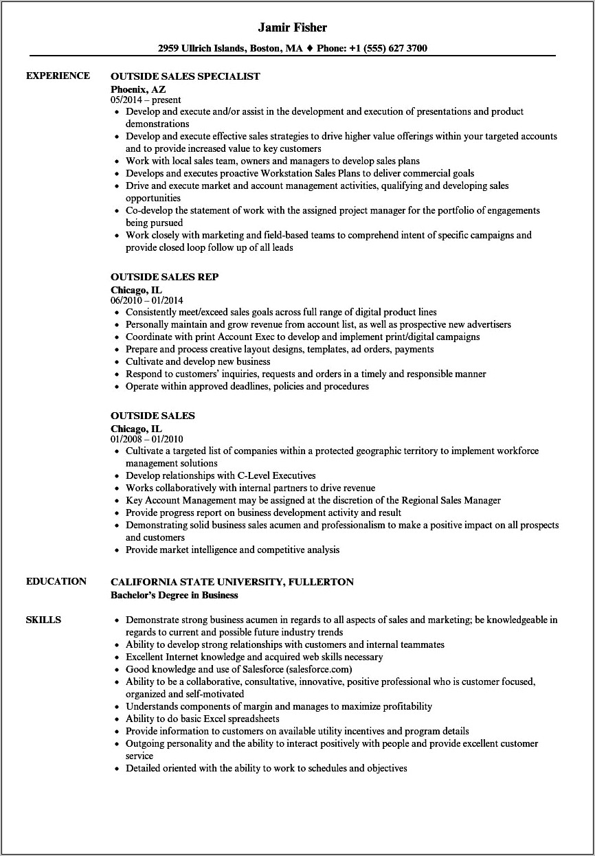 Resume Examples Outside Sales Summary