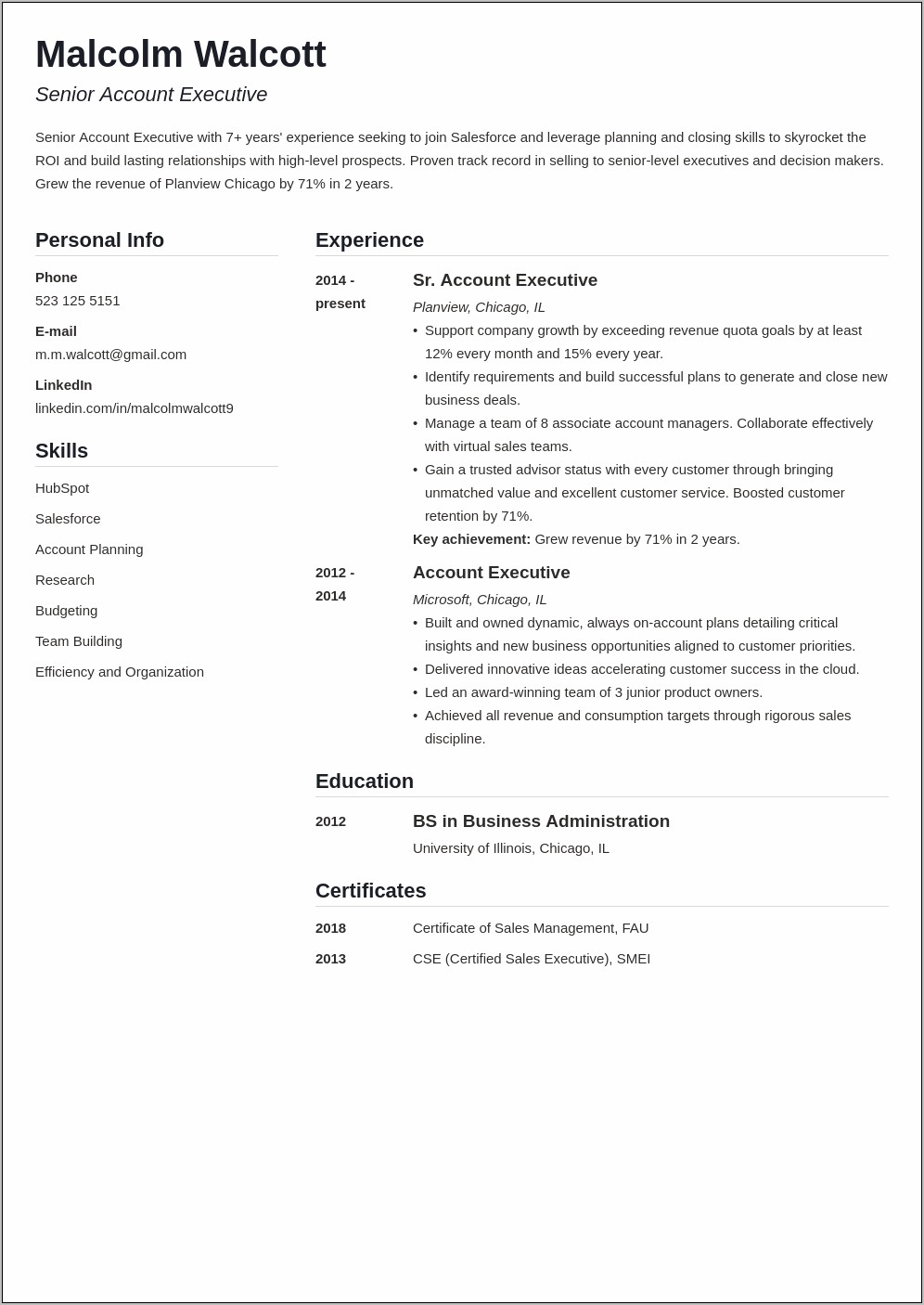 Resume For Account Executive Job