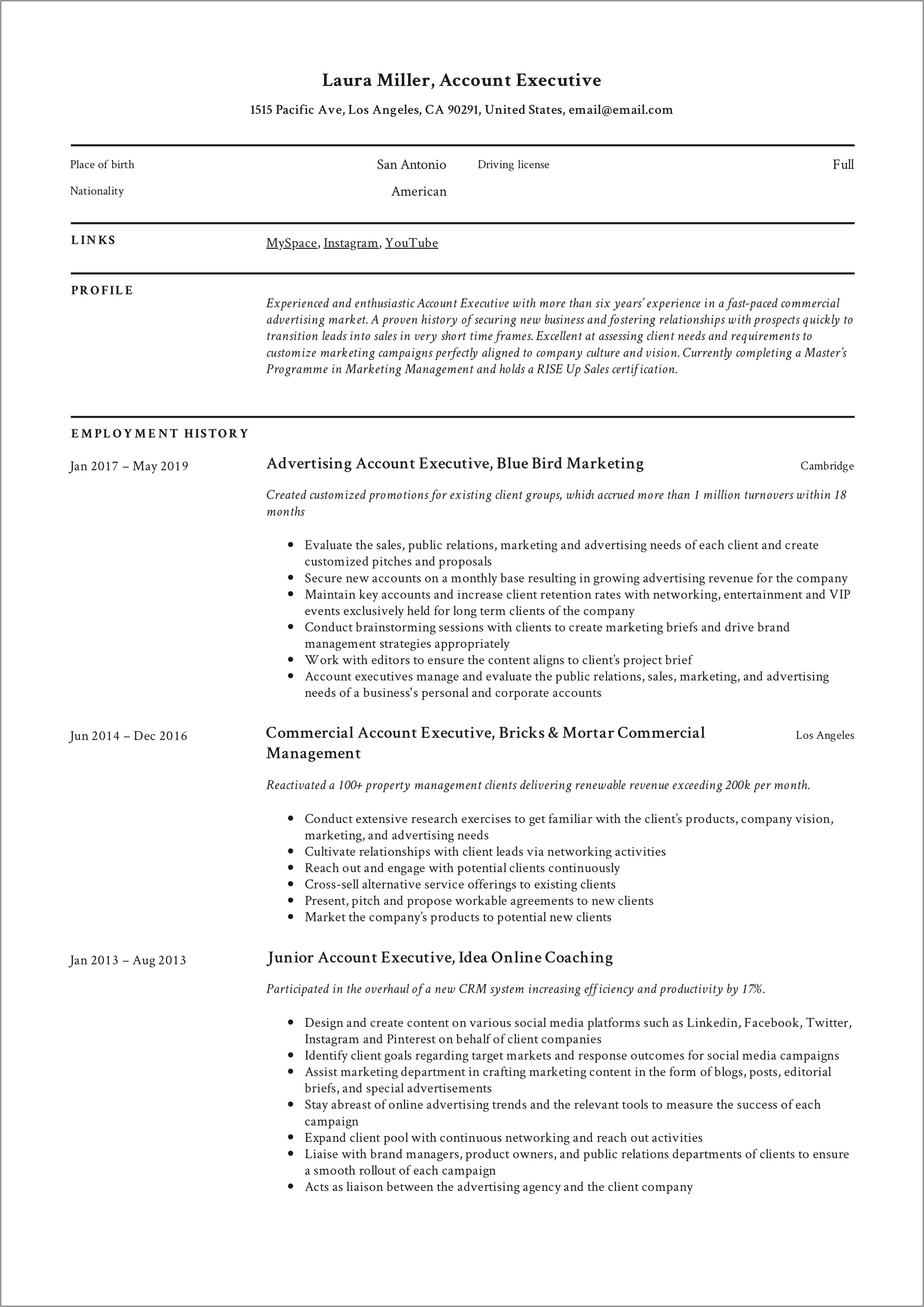 Resume For Insurance Account Manager