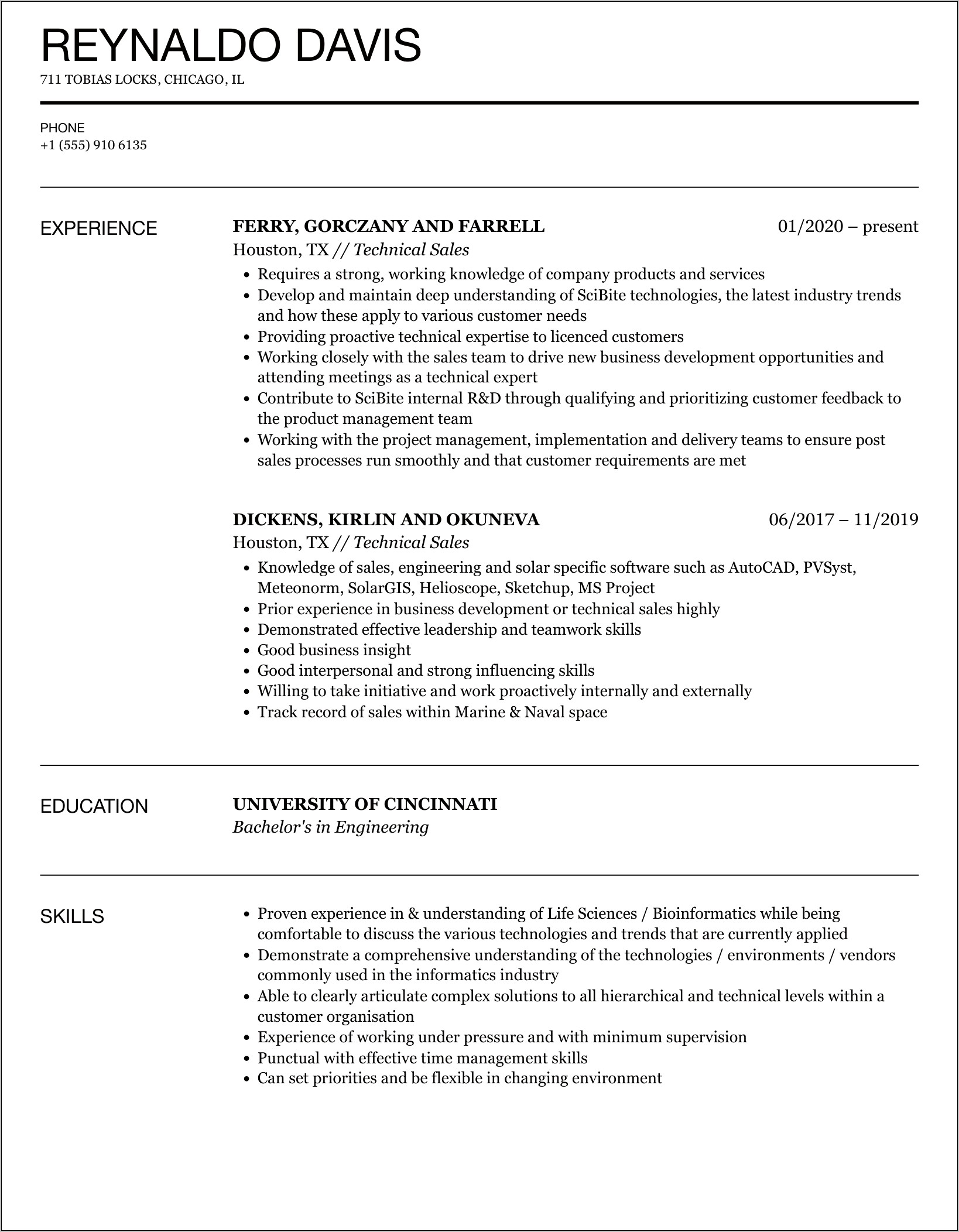 Resume Layout Examples 2019 Technical