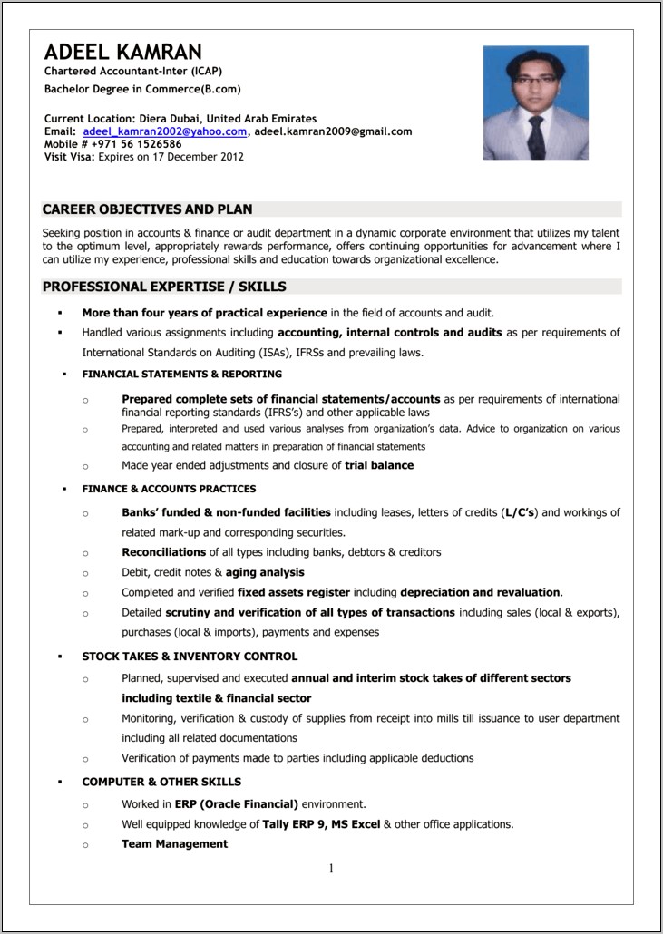 Resume Objective For Auditing Position