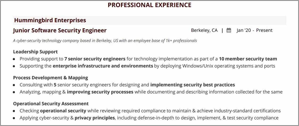 Resume Objective For Experienced Security