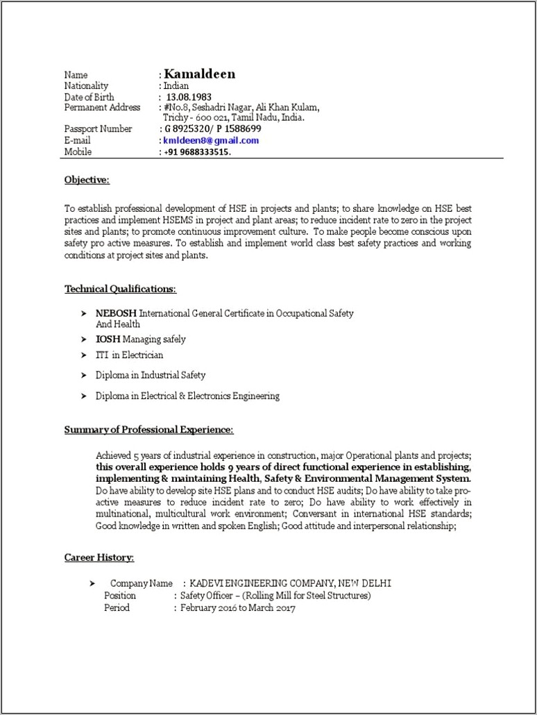 Resume Objective For Steel Mill