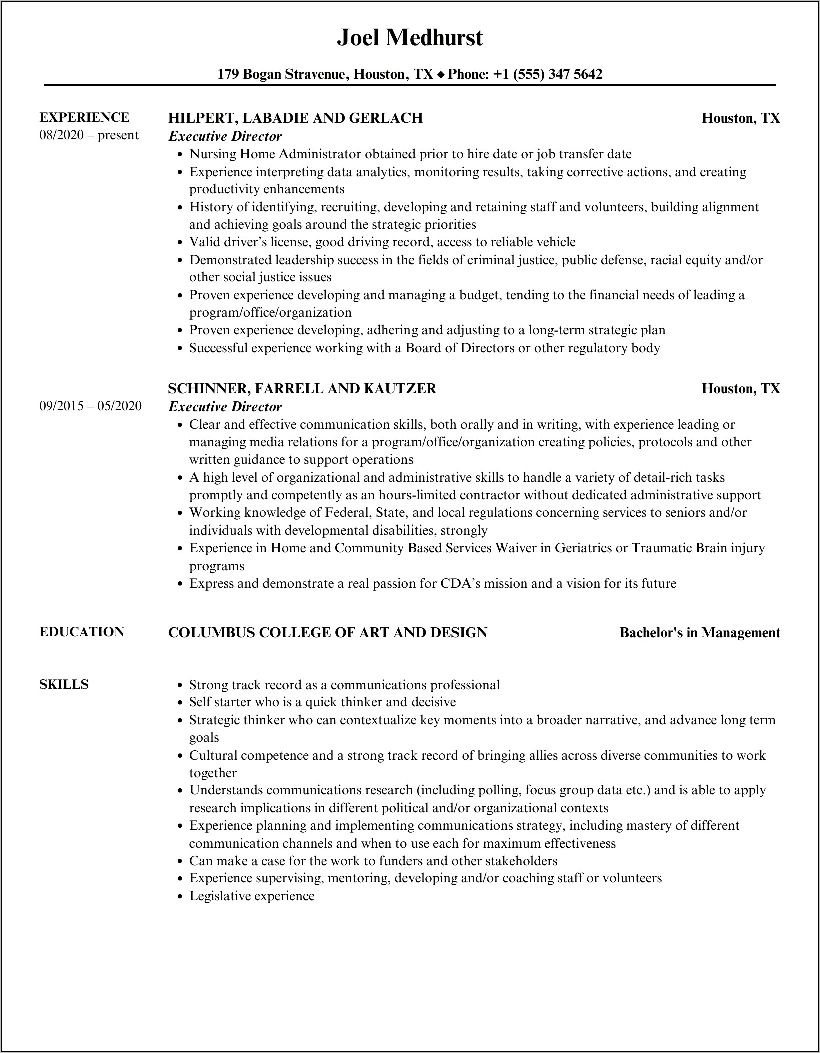 Resume Objectives Examples Executive Director