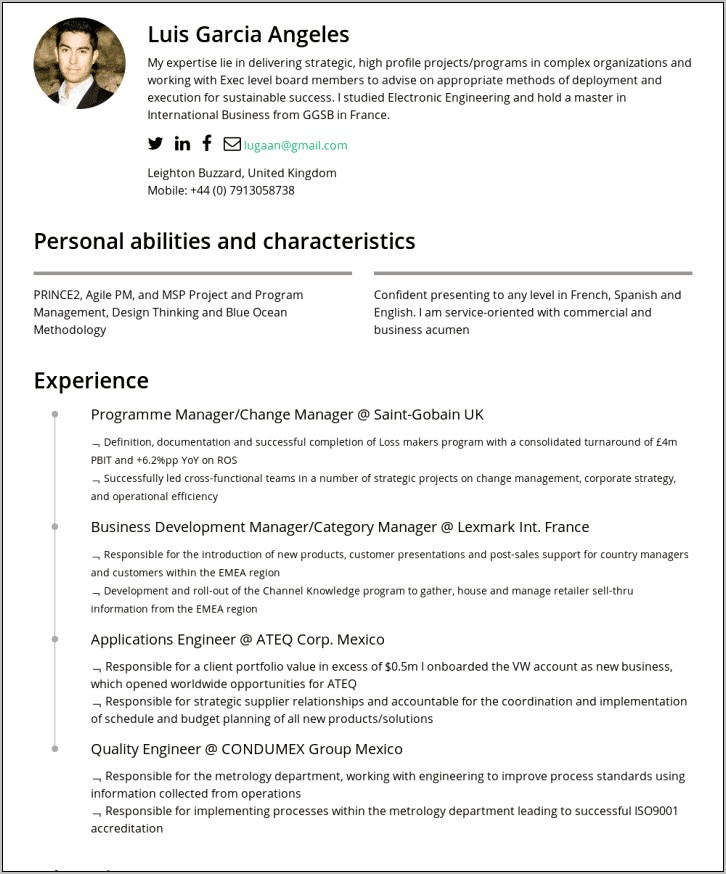 Resume Samples For Category Management