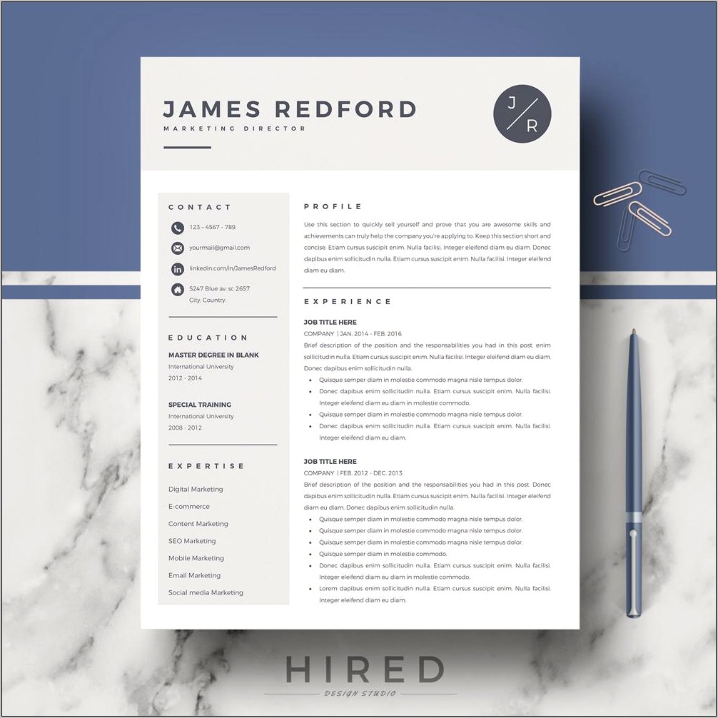 Resume Samples For Net Professionals