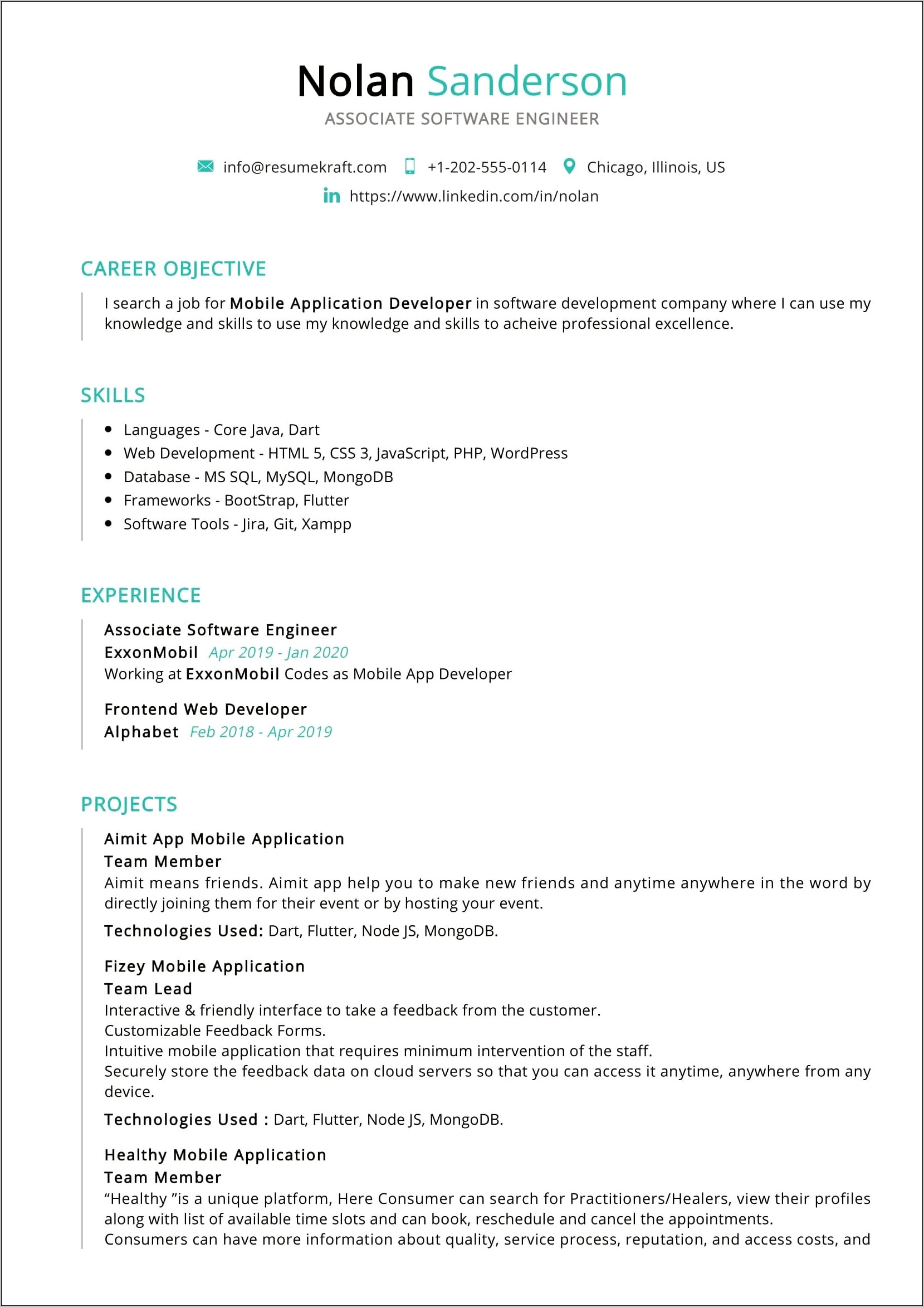 Resume Summary Examples Software Developer