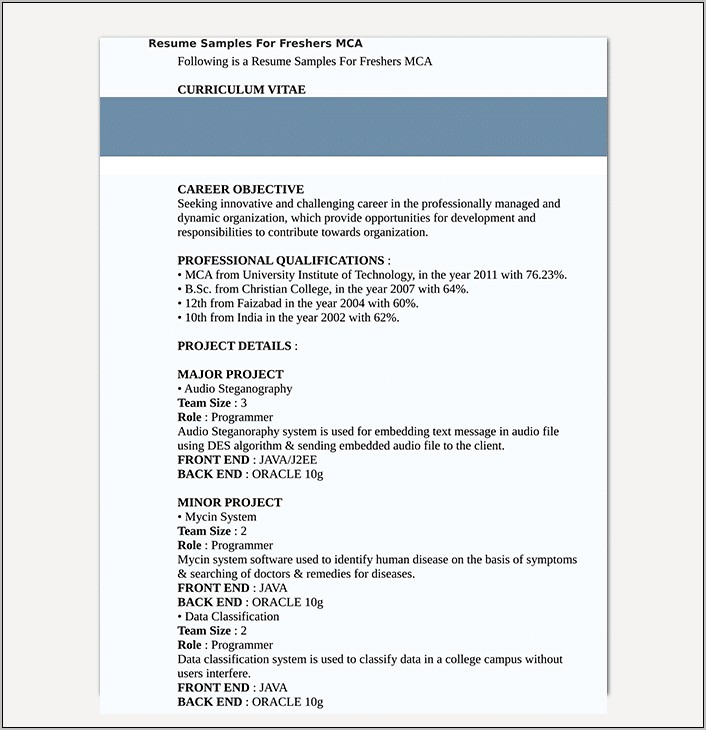 Resume Synopsis Sample For Fresher