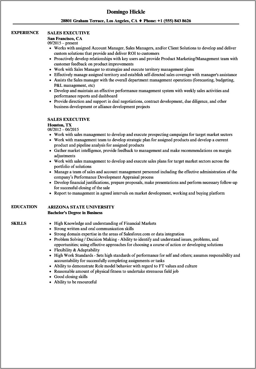 Resume Template Sales Manager Position