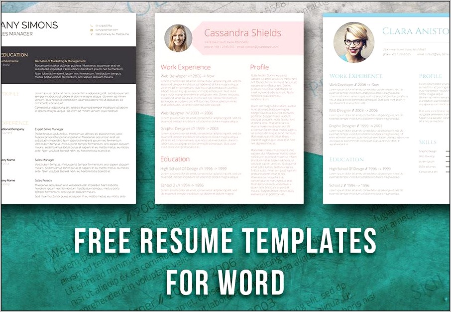 Resume Template Word 2003 Free