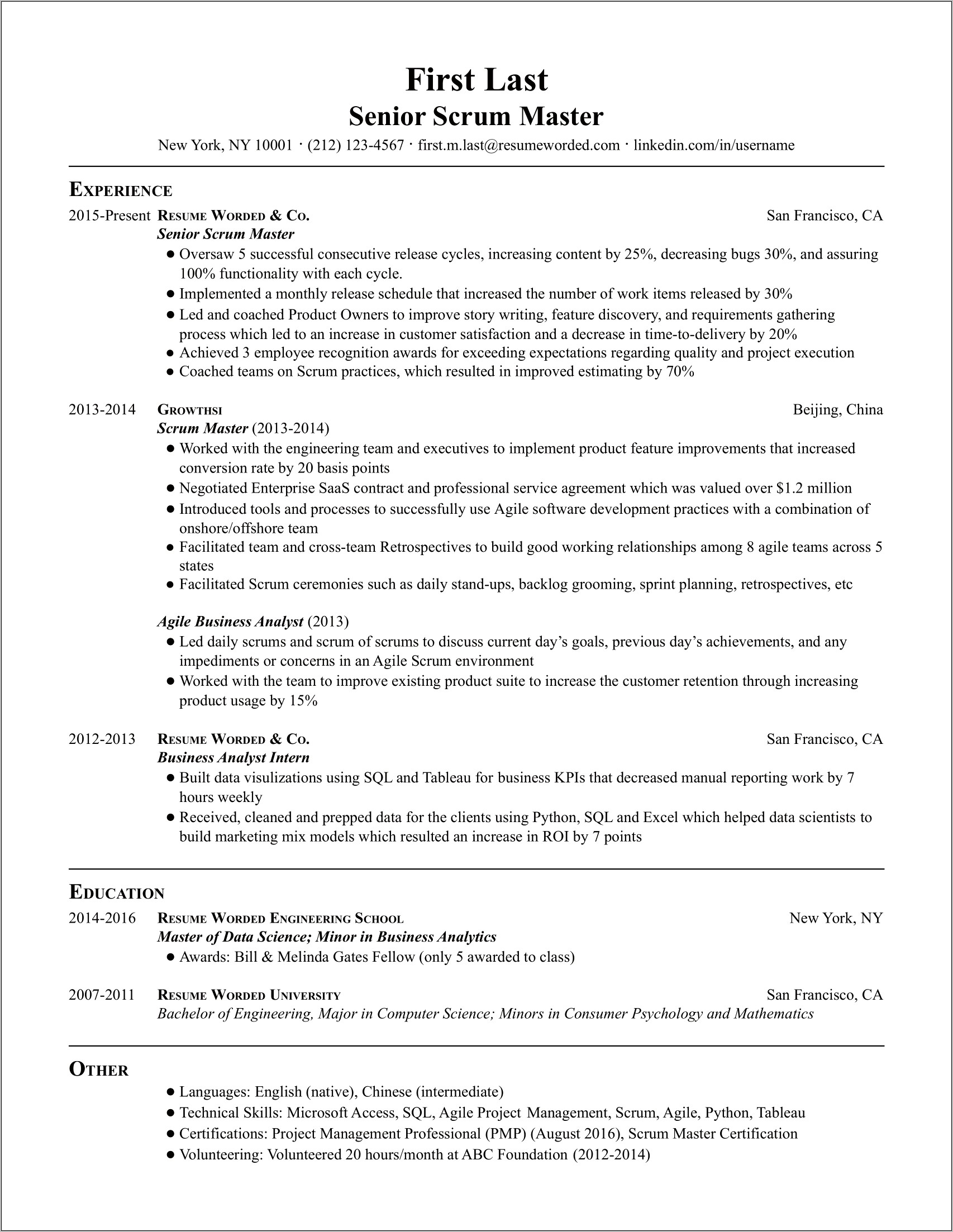 Resume Work Experience Example Scrum