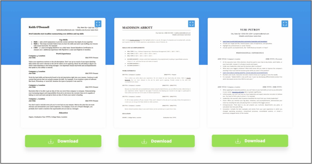 Resume Work Experience Summary Examples