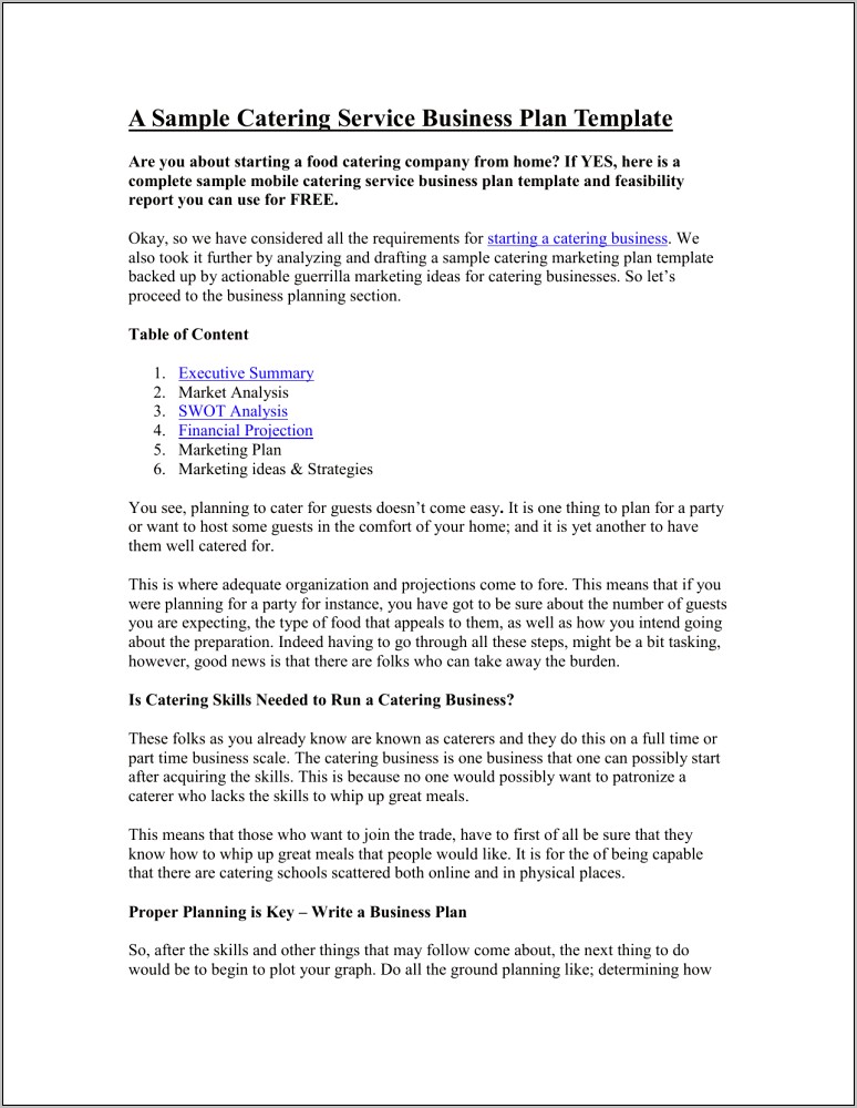 Retail And On Line Business Plan Template Free