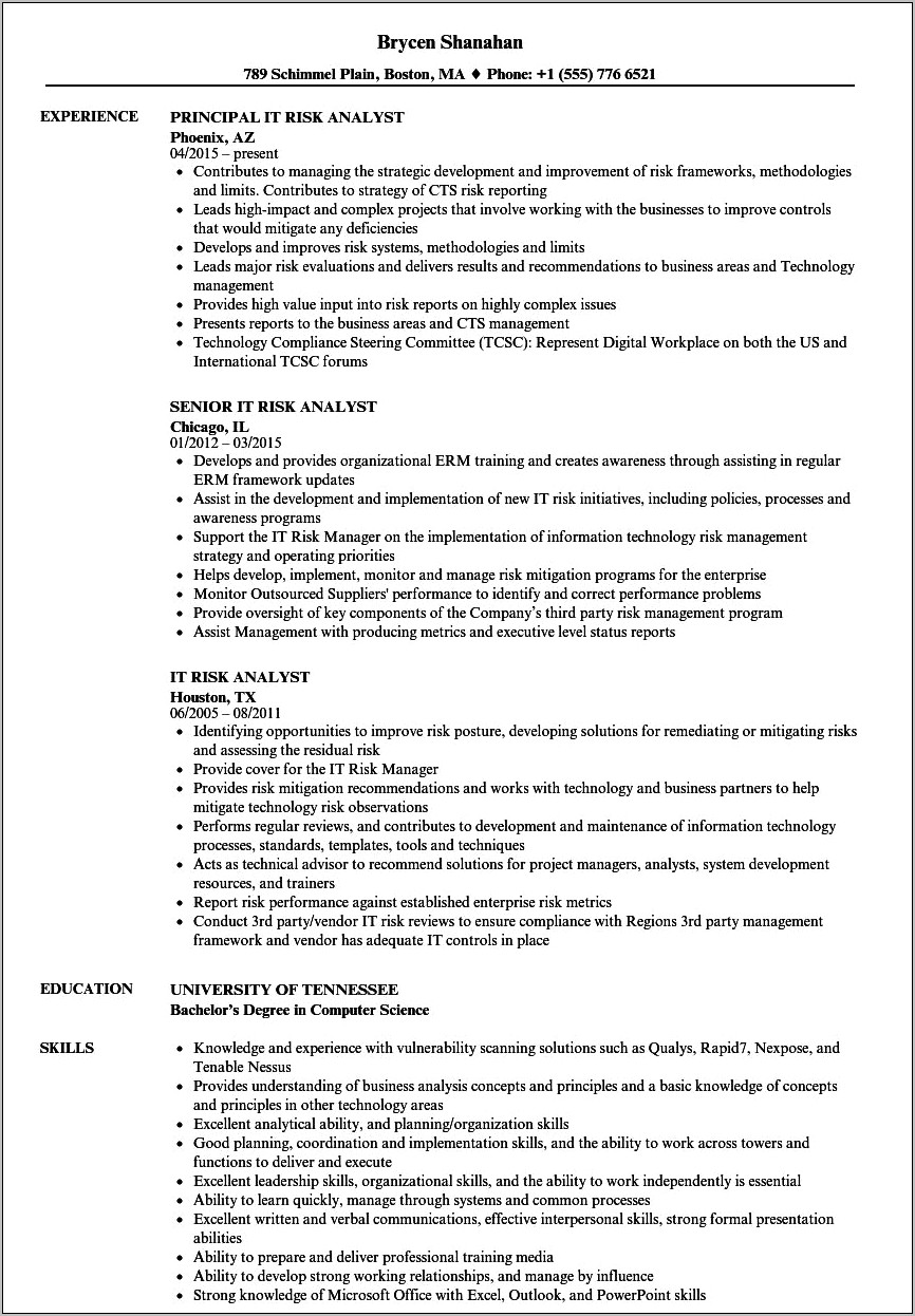 Risk Analyst Job Description Resume