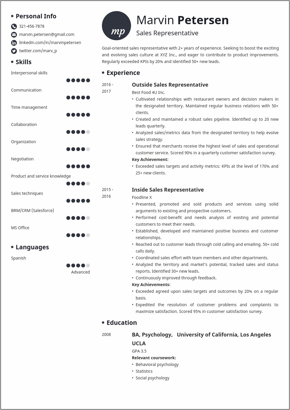 Route Sales Representative Resume Examples