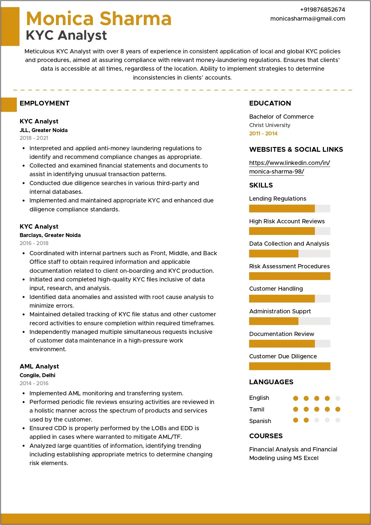 Rsik Business Analyst Sample Resum