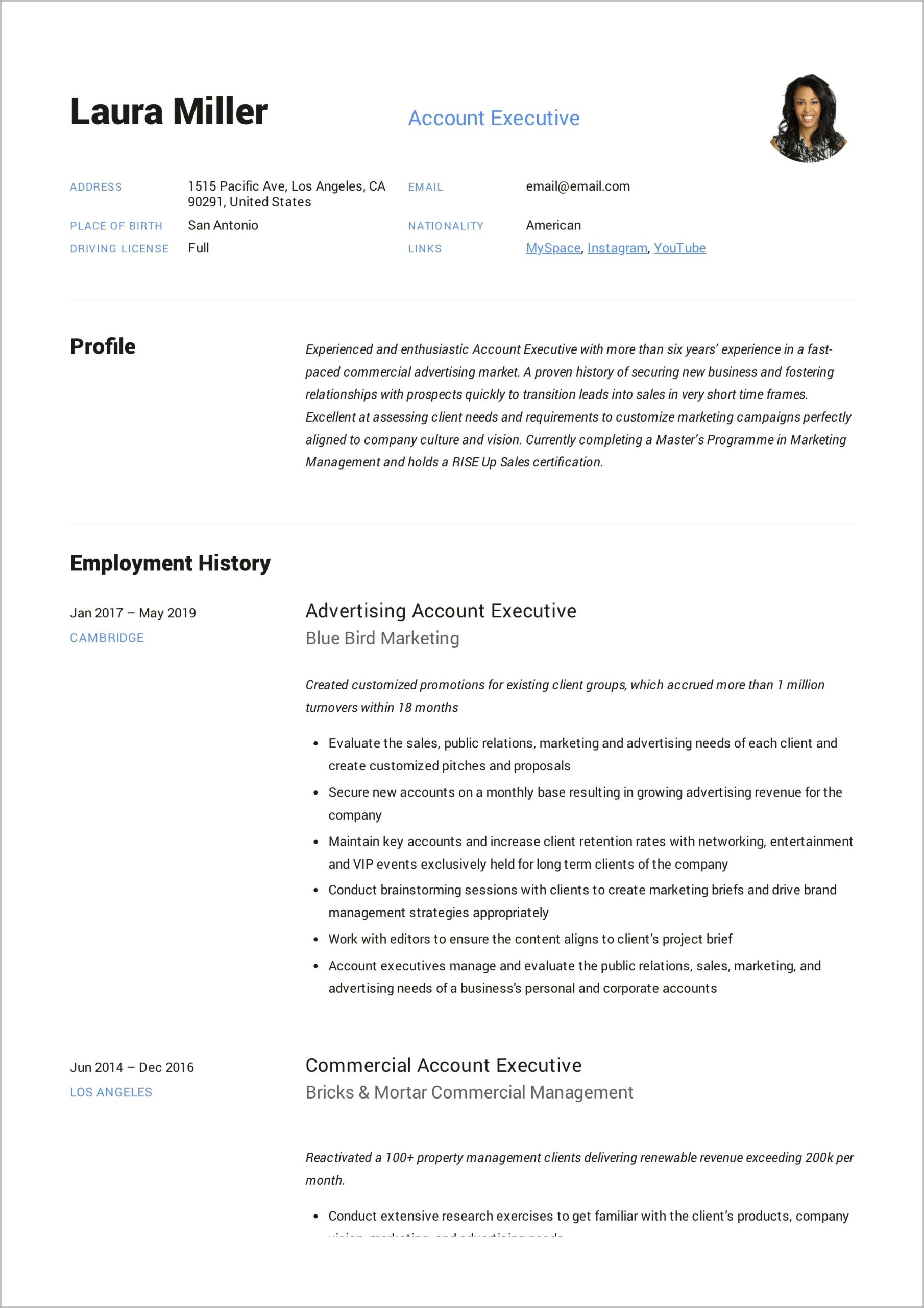 Sales Account Executive Resume Examples