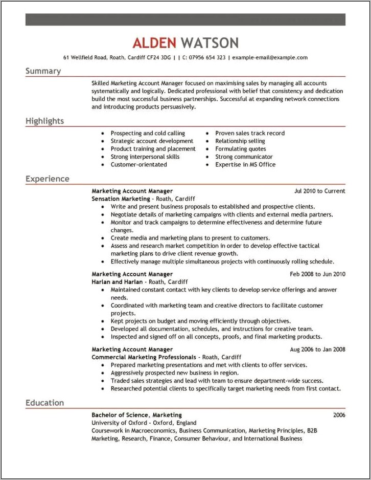 Sales Account Manager Resume Templates