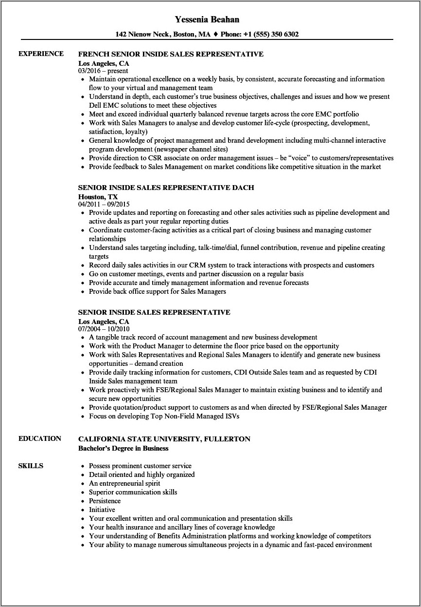 Sales Lady Skills In Resume