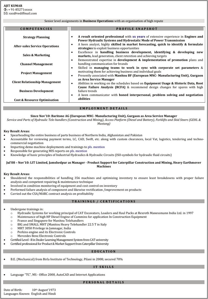 Sales Manager Resume Pdf India