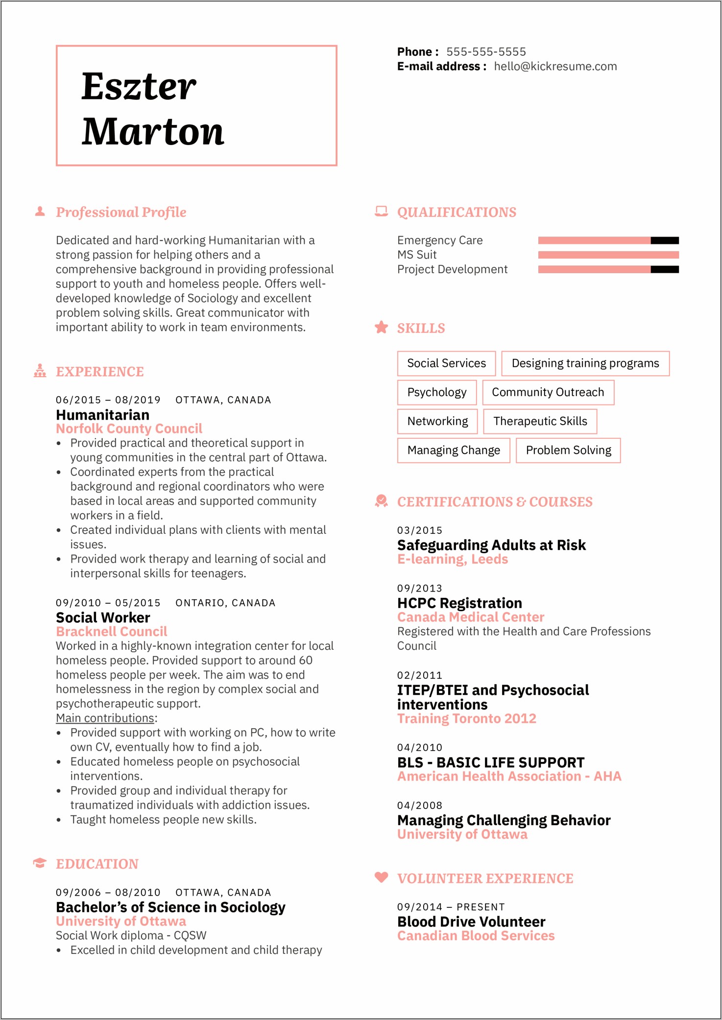 Sample American Resume 2019 Format