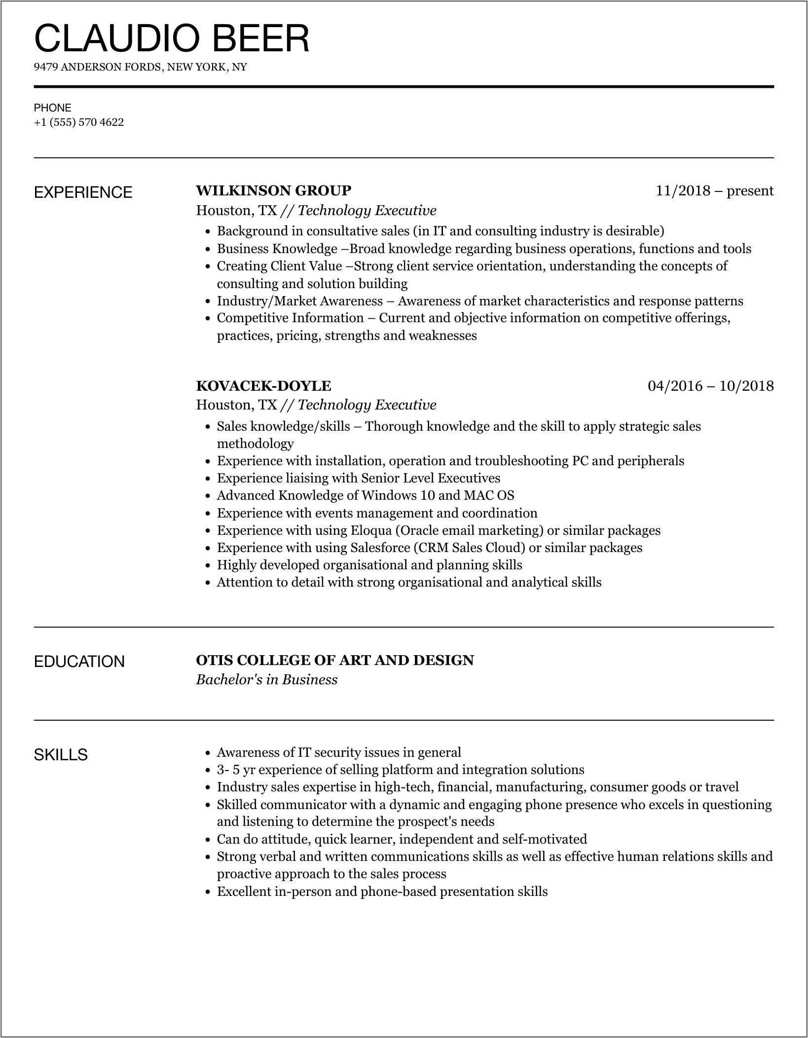 Sample Information Technology Director Resume