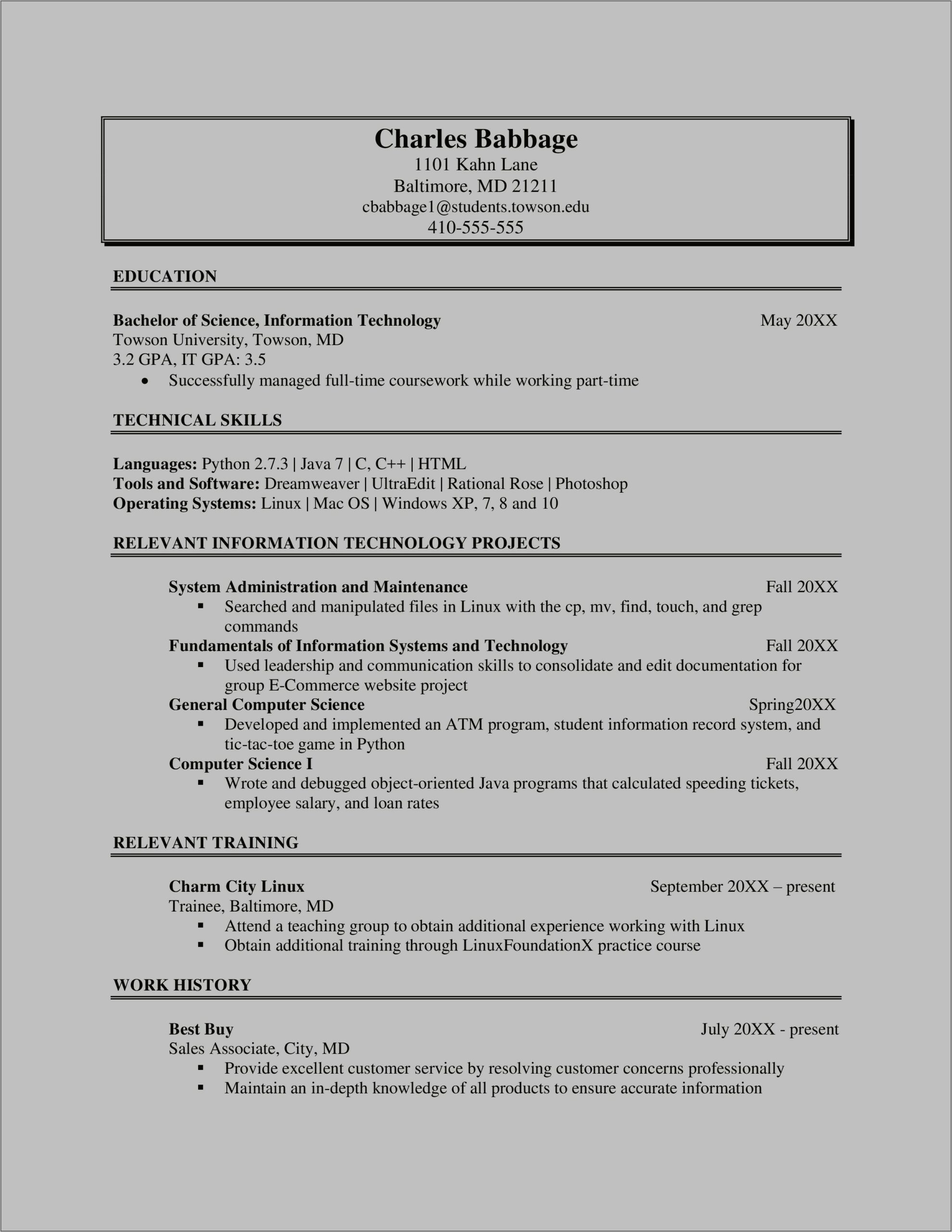 Sample Information Technology Resume Summary