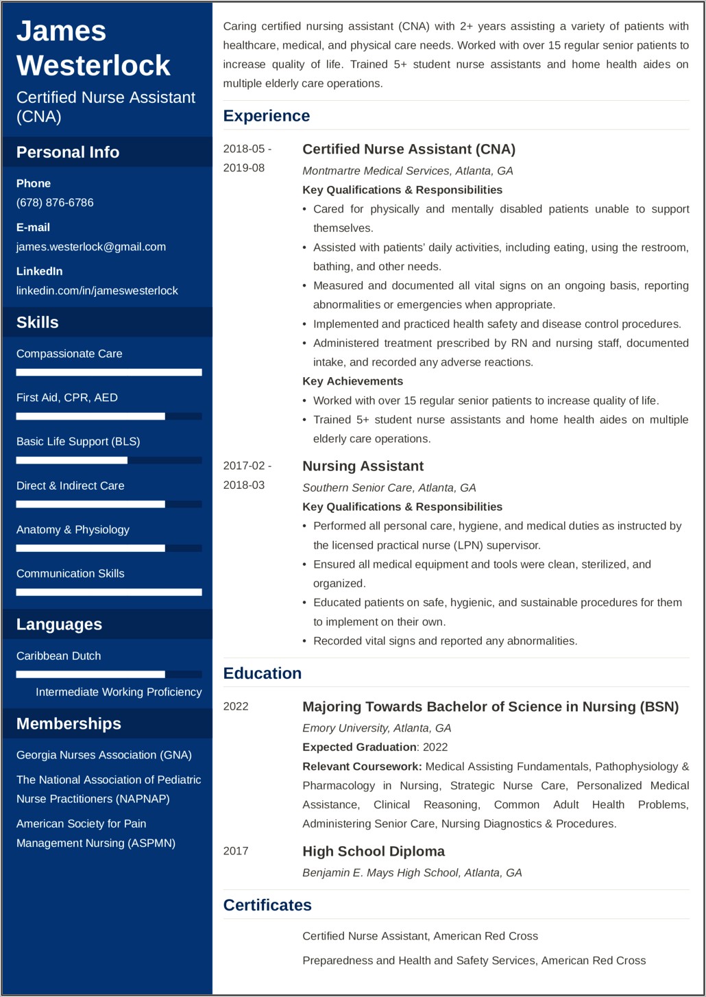 Sample Nursing Assistant Manager Resume