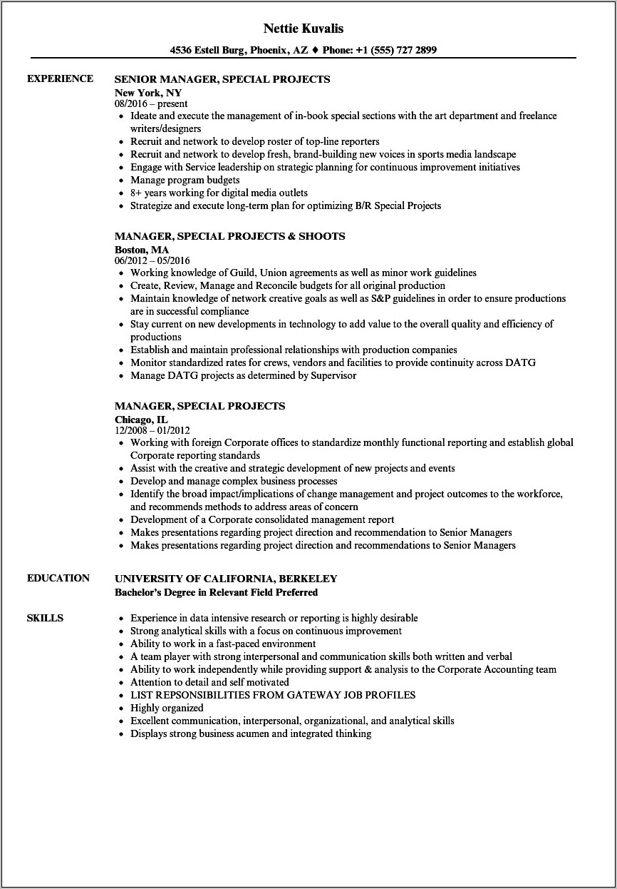 Sample Of Projects In Resumes