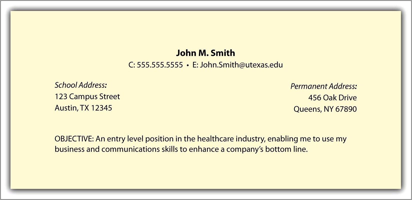 Sample Of Resume Woth Lines