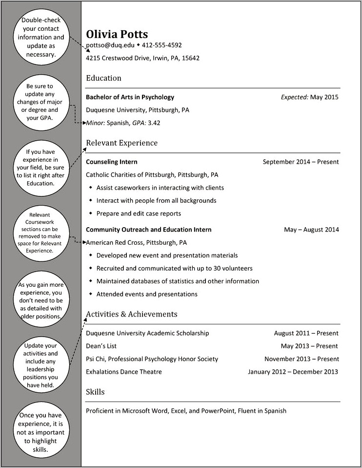 Sample Professional Resume For Psychologist