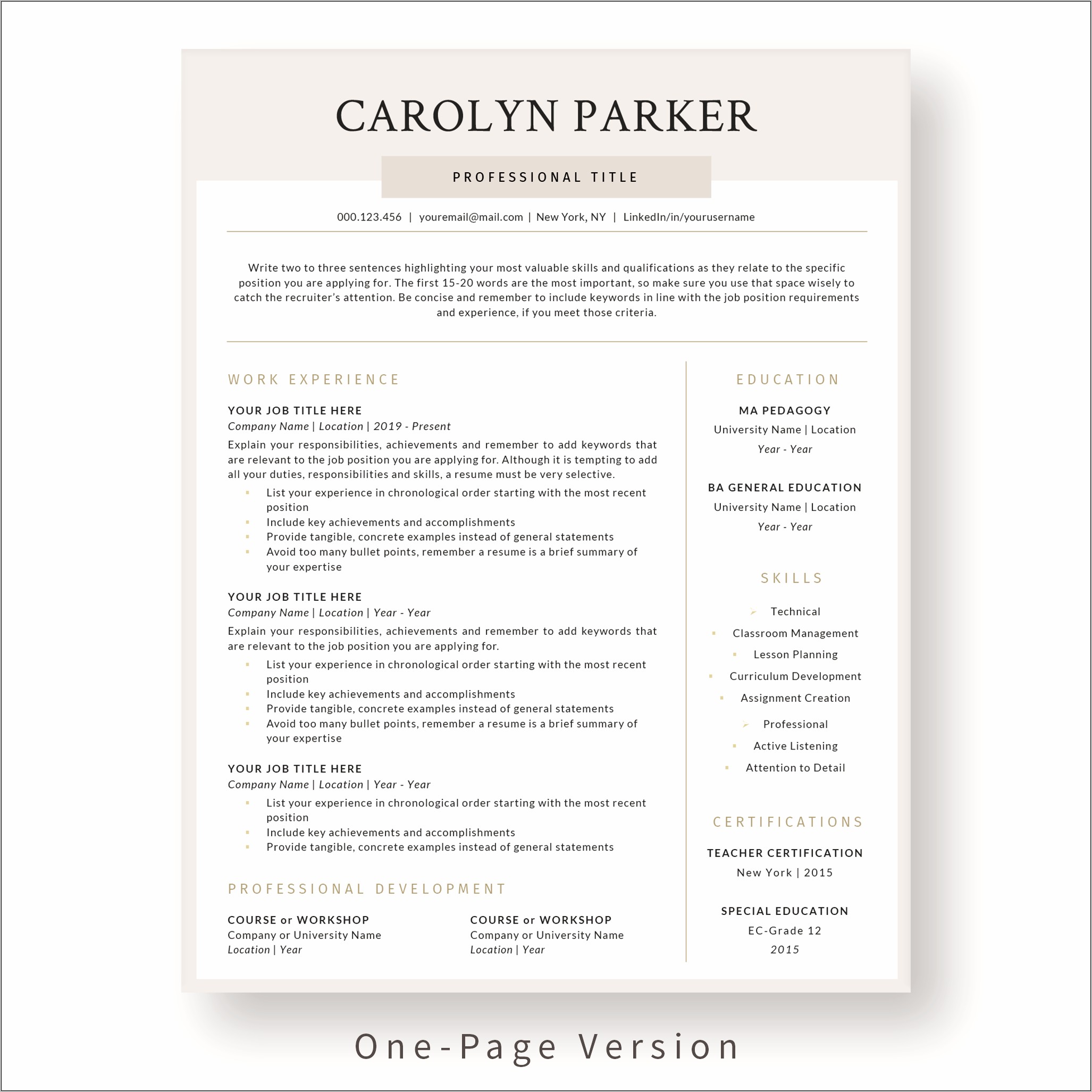 Sample Professional Resume Word Document
