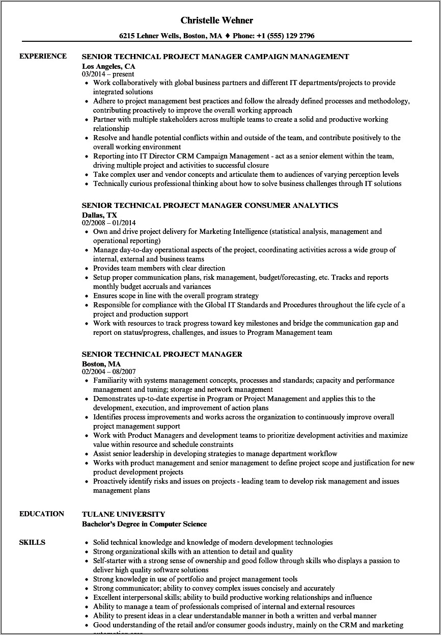 Sample Project Manager Resume Template