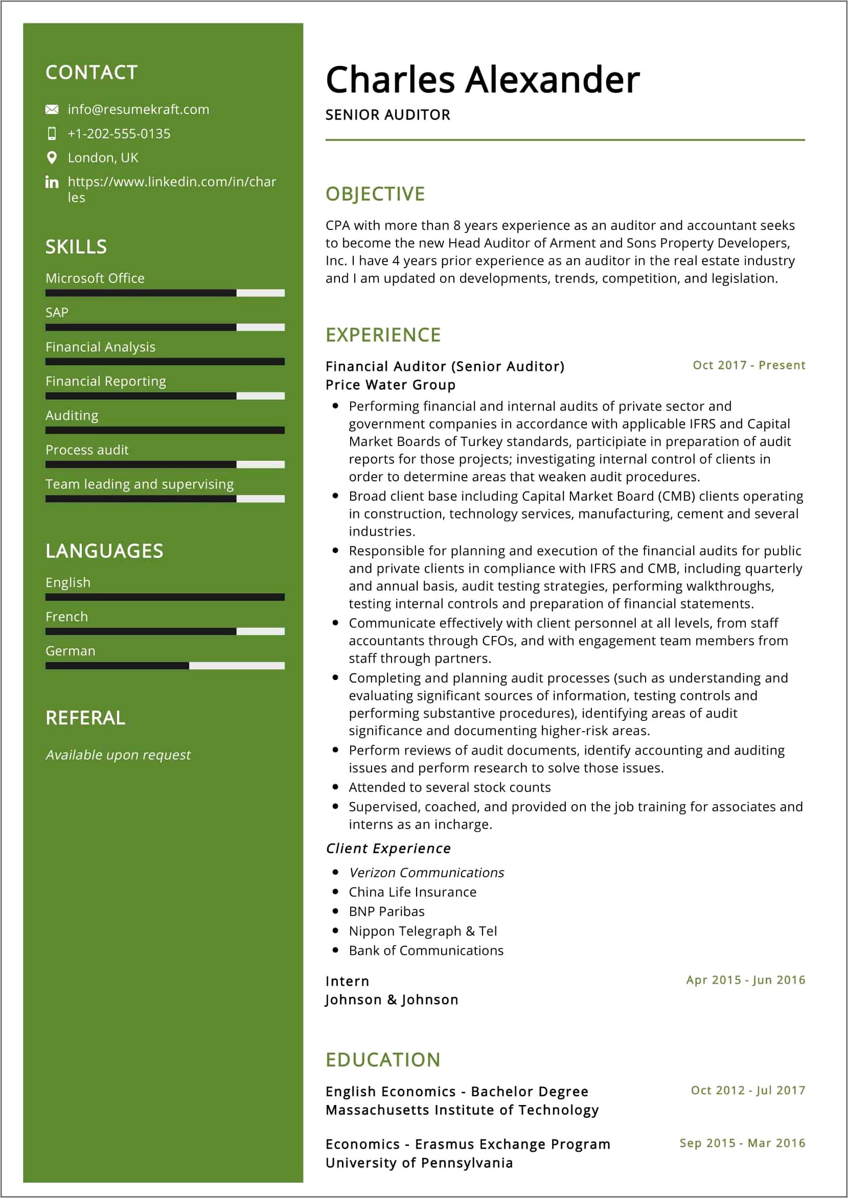 Sample Resume For Audit Director