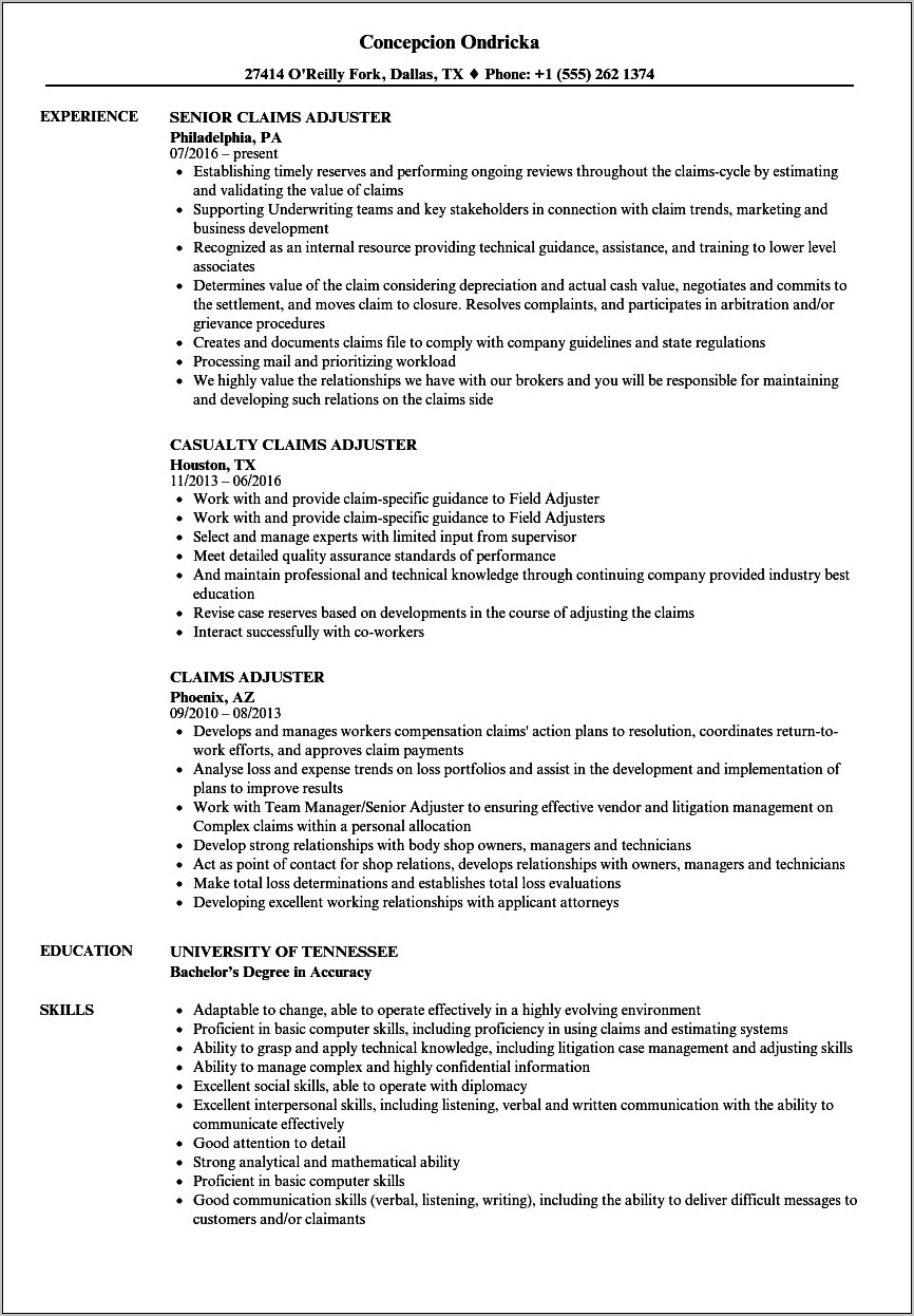 Sample Resume For Claims Ajuster