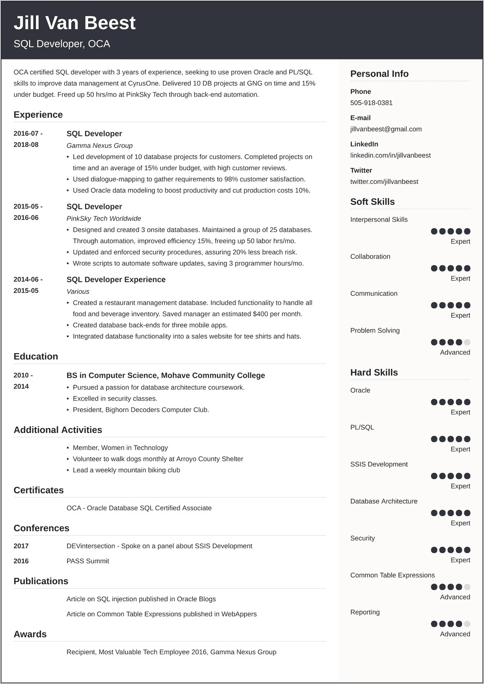 Sample Resume For D2k Developer
