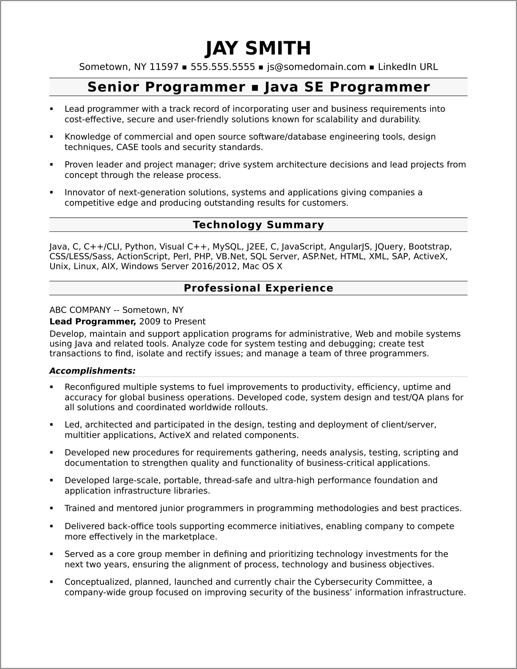 Sample Resume For Experienced Programmer