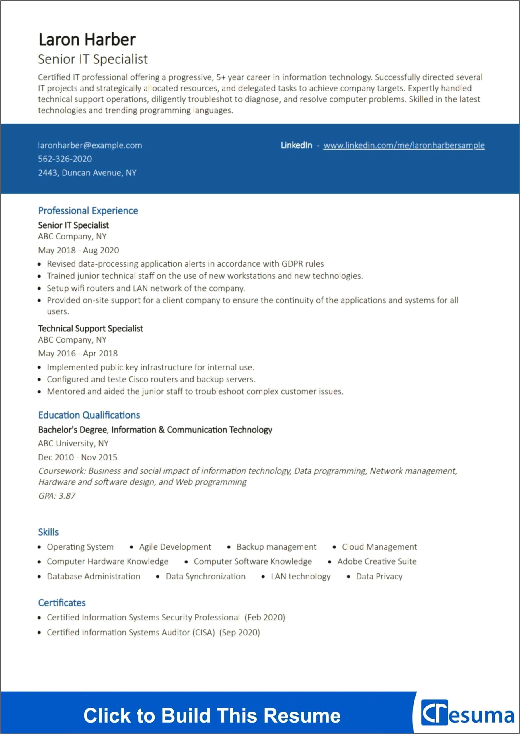 Sample Resume Information Technology Specialist
