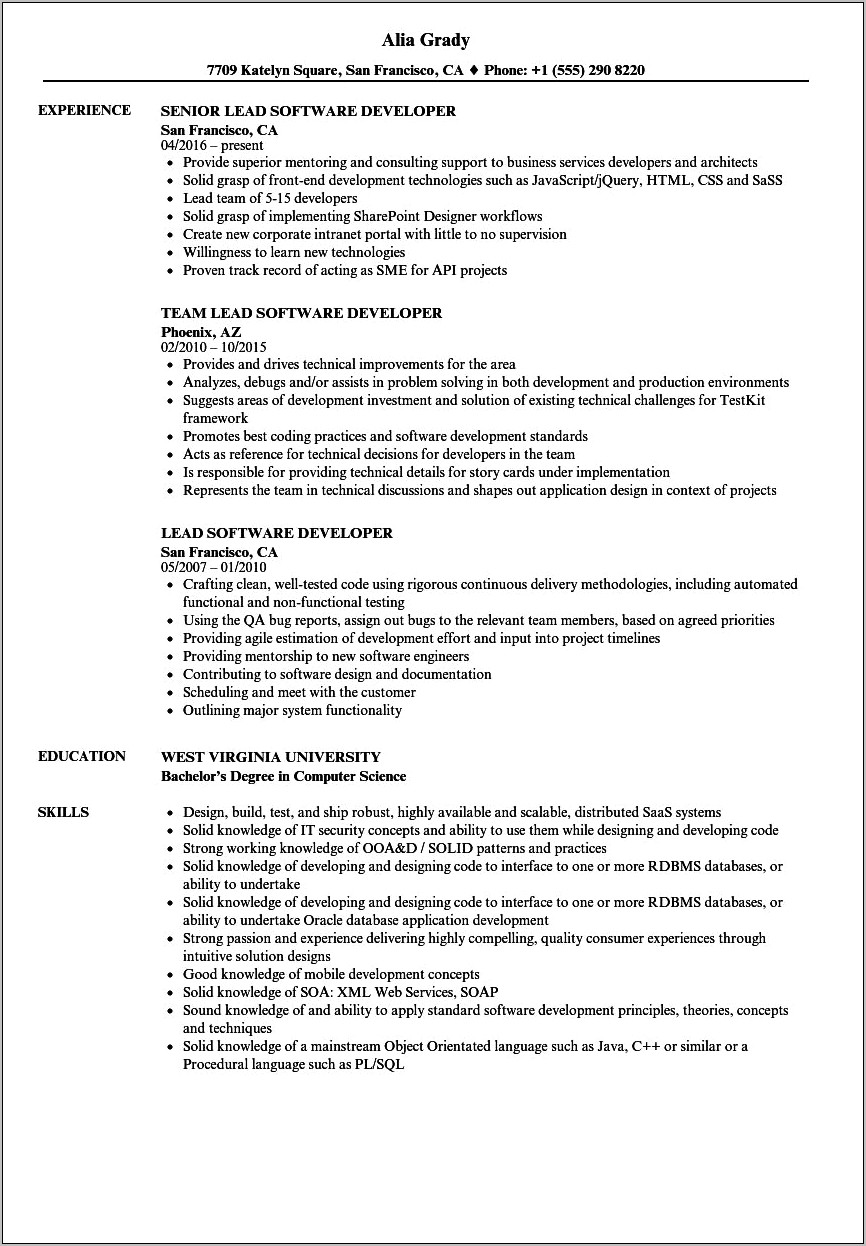 Sample Resume Of Lead Programmer