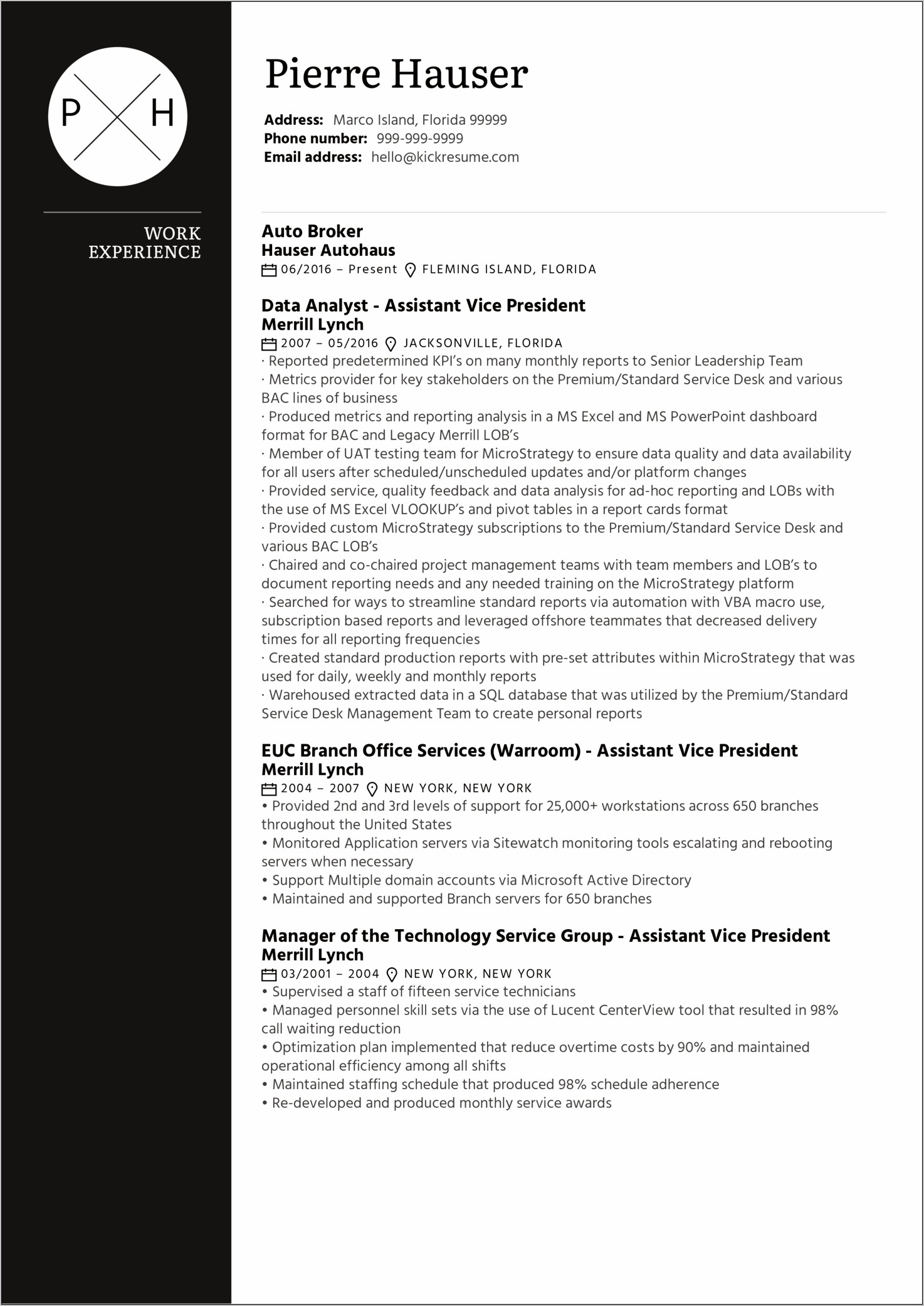 Sample Resume Vice President Technology