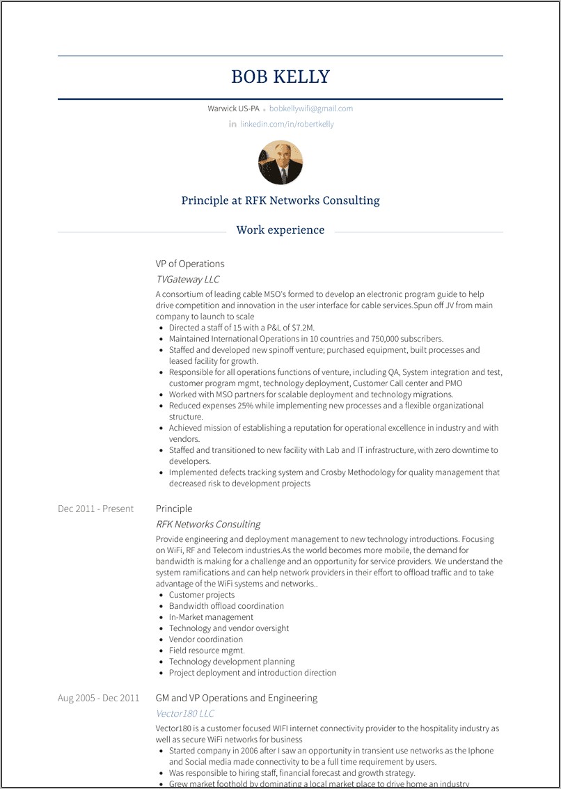 Sample Resume Vp Of Operations