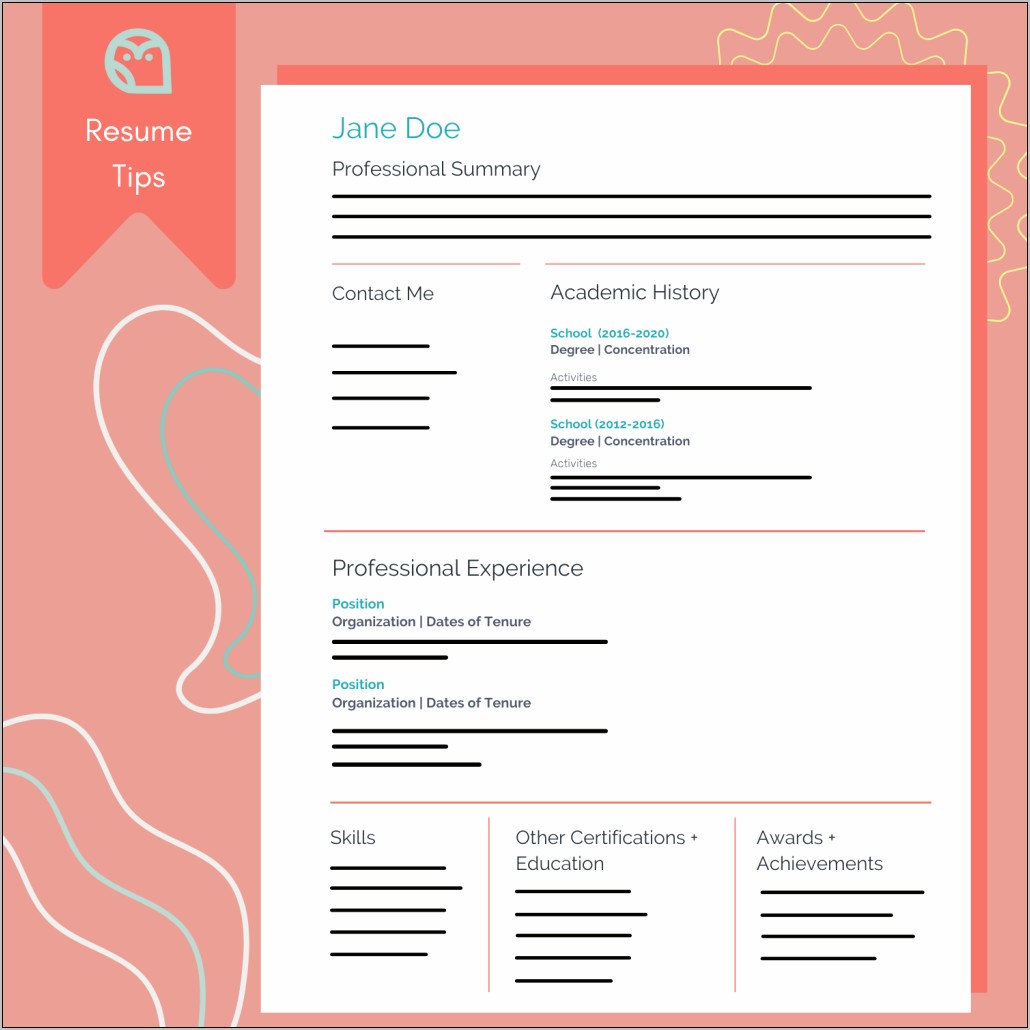 Sample Resume With No School