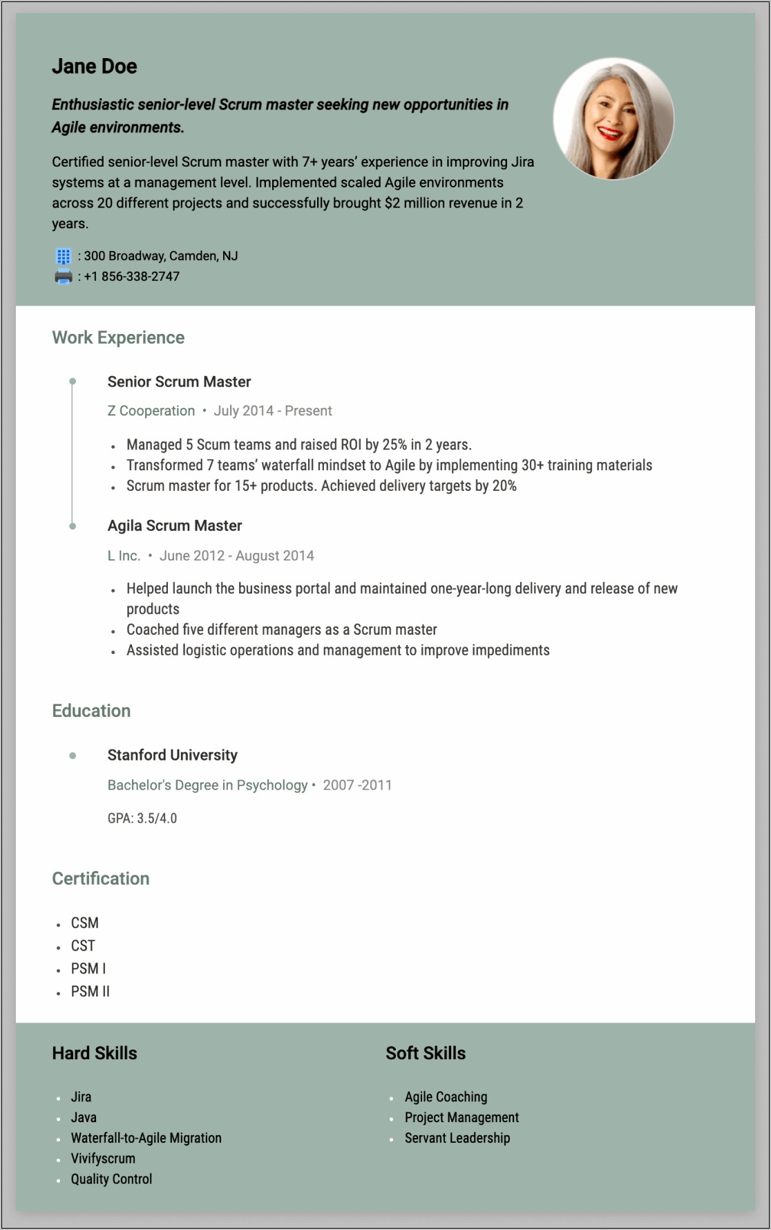 Sample Scrum Resume With Experience