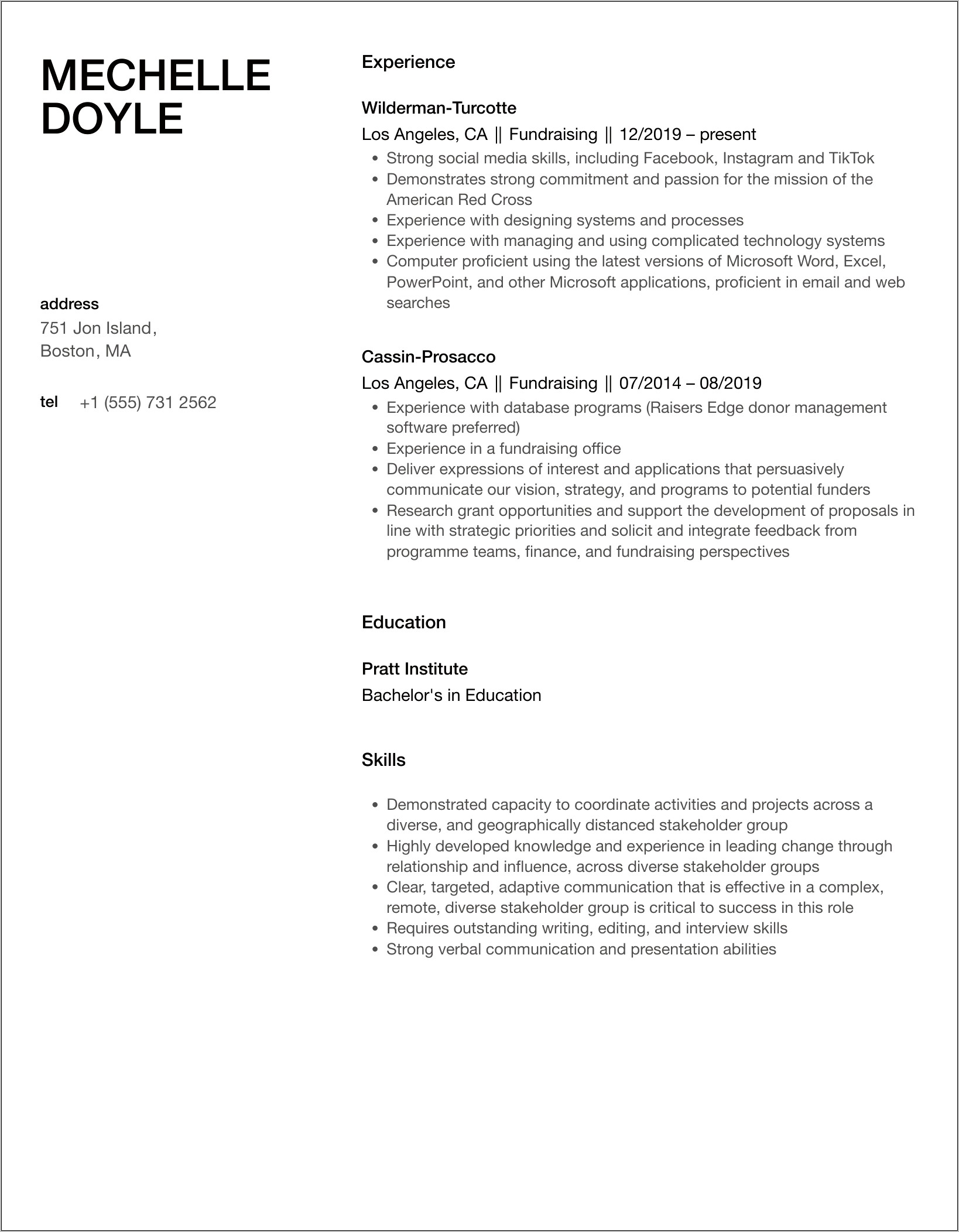 Sample Vice President Fundraiser Resume